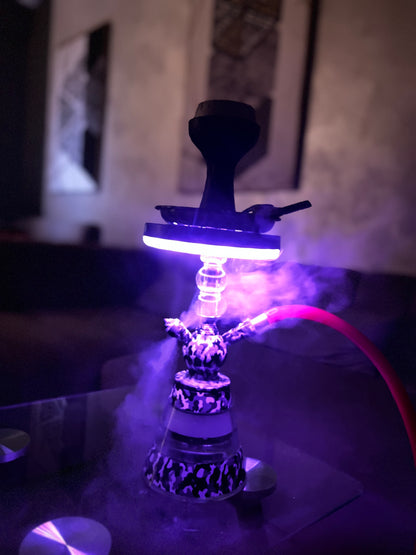 CHICHA RAISIN - MENTHE